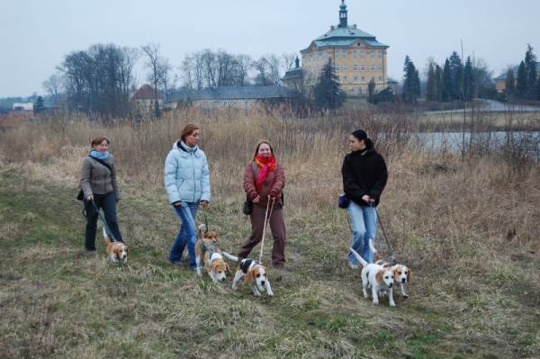 kliknutím zavřete okno