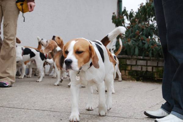 kliknutím zavřete okno