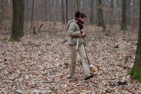 kliknutím zavřete okno