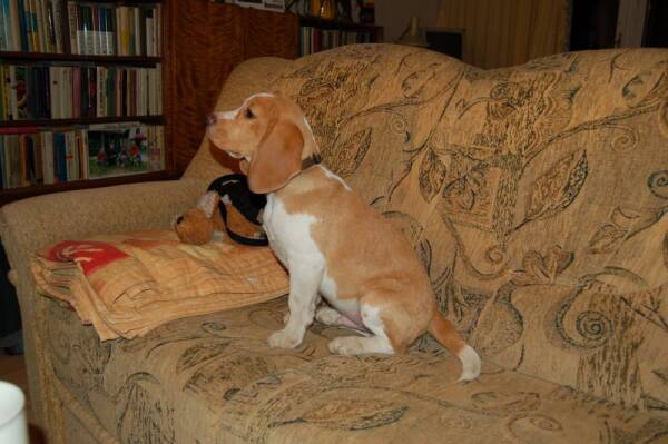 kliknutím zavřete okno