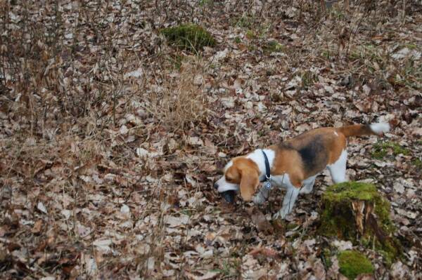 kliknutím zavřete okno