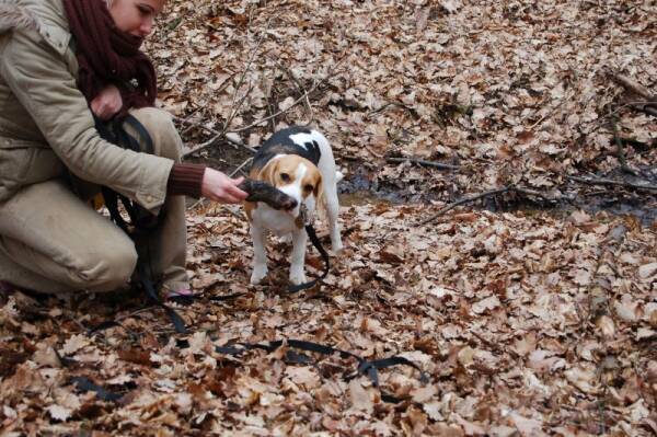 kliknutím zavřete okno