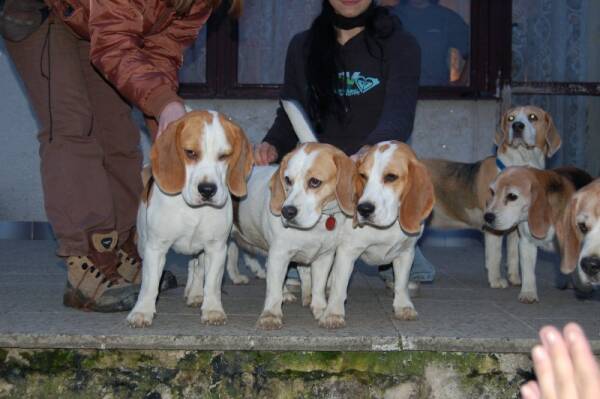 kliknutím zavřete okno
