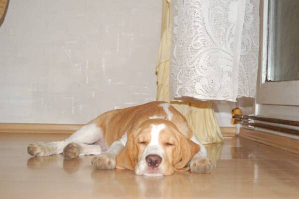 kliknutím zavřete okno