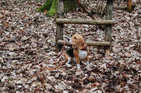 kliknutím zavřete okno