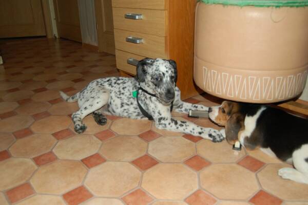 kliknutím zavřete okno