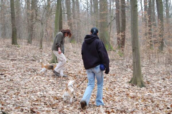 kliknutím zavřete okno