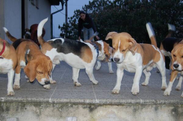 kliknutím zavřete okno