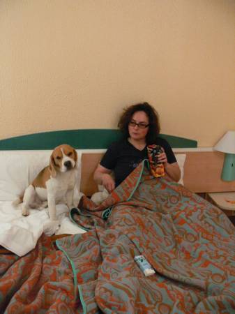 kliknutím zavřete okno