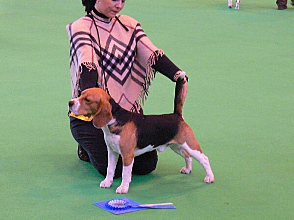 kliknutím zavřete okno