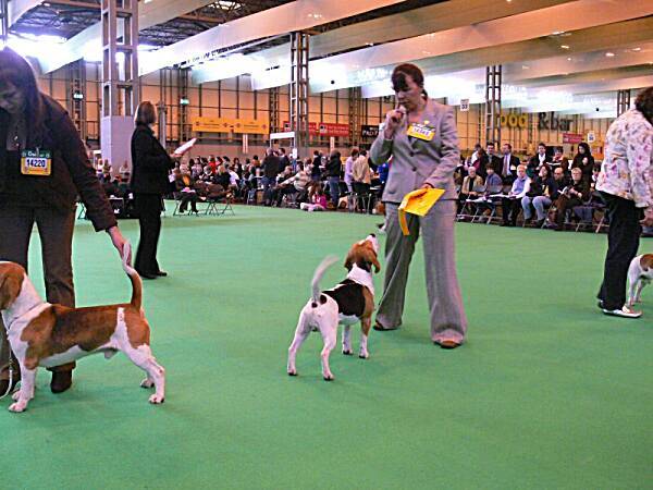 kliknutím zavřete okno