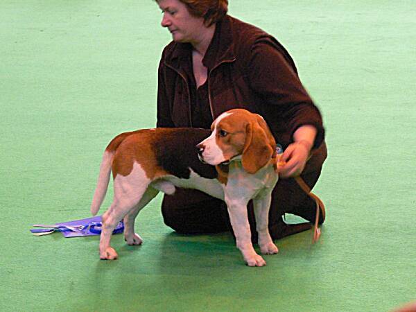 kliknutím zavřete okno