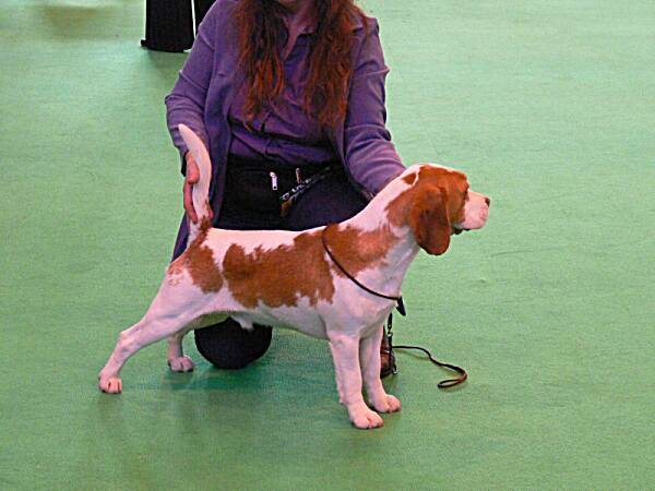 kliknutím zavřete okno