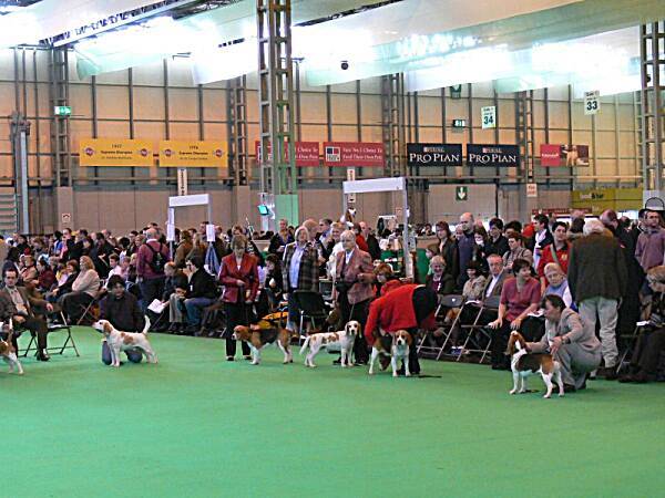 kliknutím zavřete okno