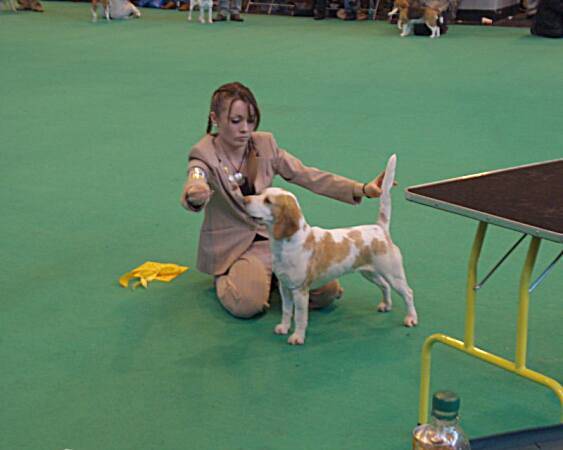 kliknutím zavřete okno