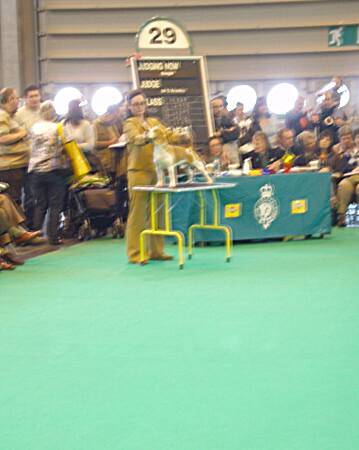 kliknutím zavřete okno