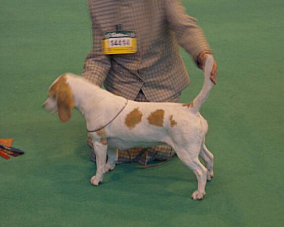 kliknutím zavřete okno