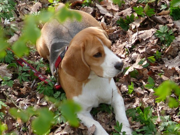 kliknutím zavřete okno