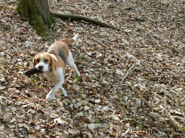 ... a nese ho ukázat paničce