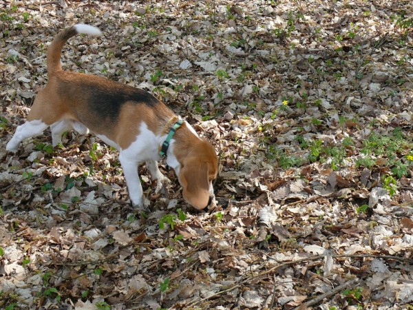 kliknutím zavřete okno