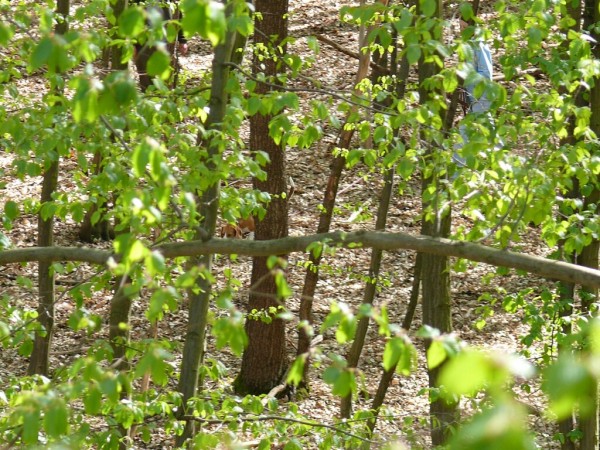 kliknutím zavřete okno