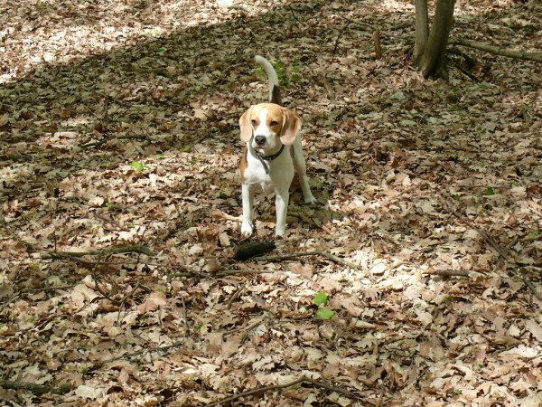 kliknutím zavřete okno
