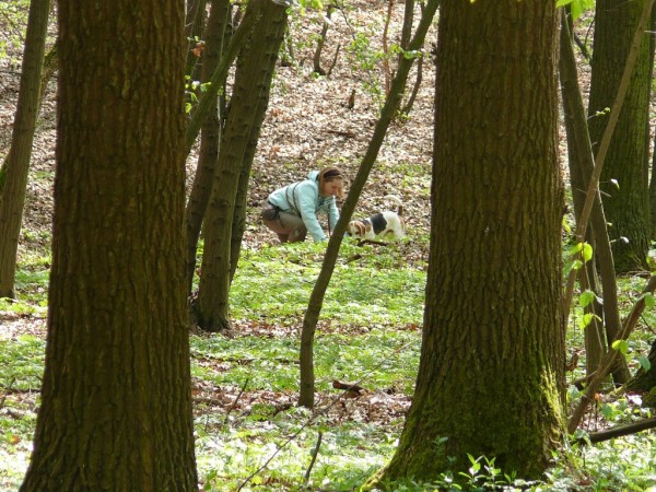 kliknutím zavřete okno