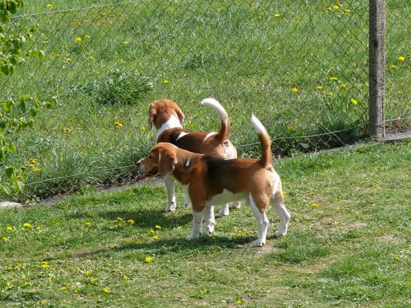 ... hlídači jídla zůstali doma...