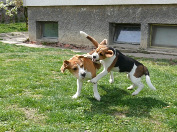 kliknutím zavřete okno