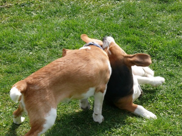 kliknutím zavřete okno