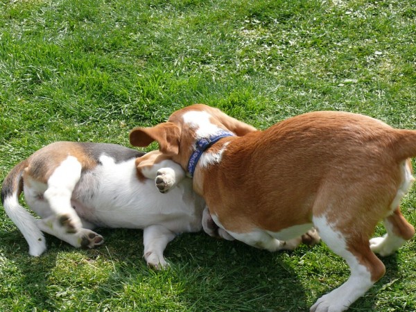 kliknutím zavřete okno