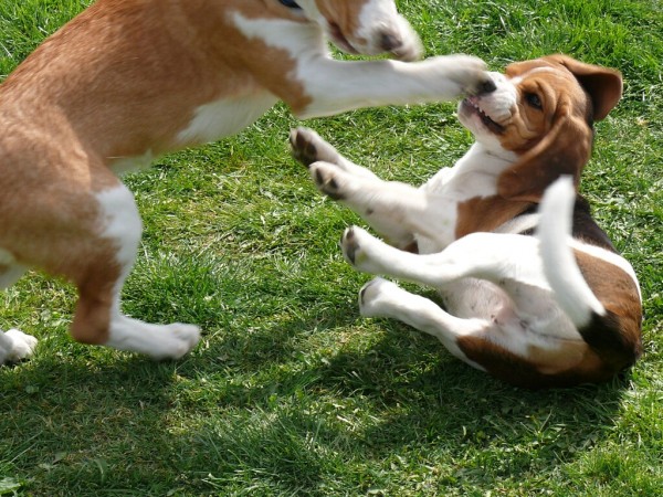 kliknutím zavřete okno