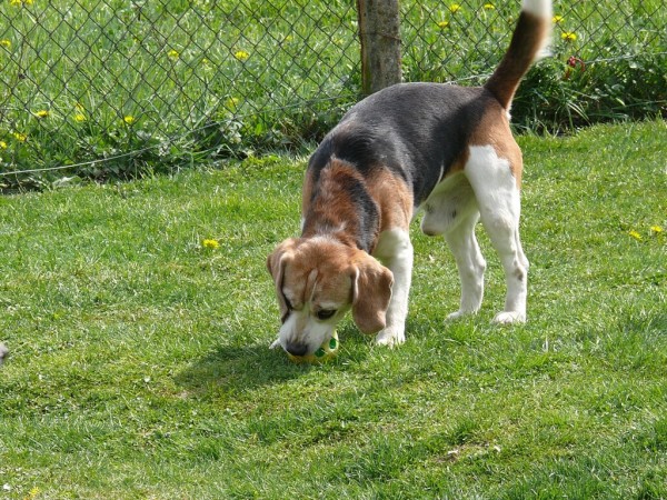 kliknutím zavřete okno
