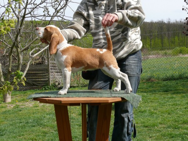 kliknutím zavřete okno