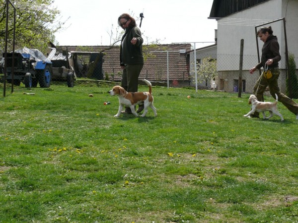 kliknutím zavřete okno