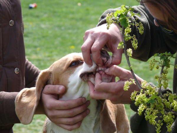kliknutím zavřete okno