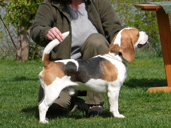 kliknutím zavřete okno