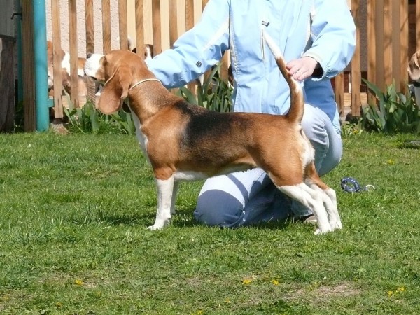 kliknutím zavřete okno