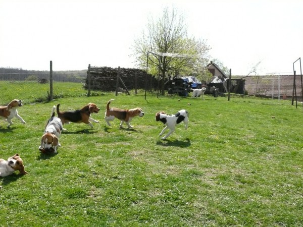 kliknutím zavřete okno