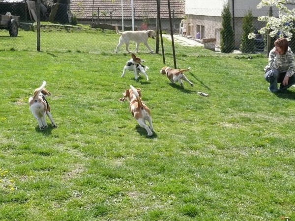 kliknutím zavřete okno