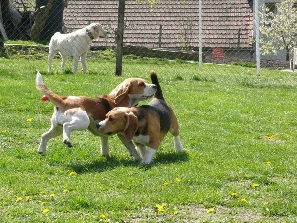 kliknutím zavřete okno