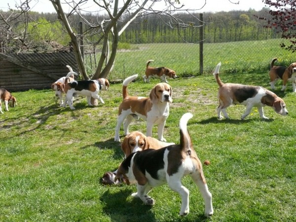 kliknutím zavřete okno