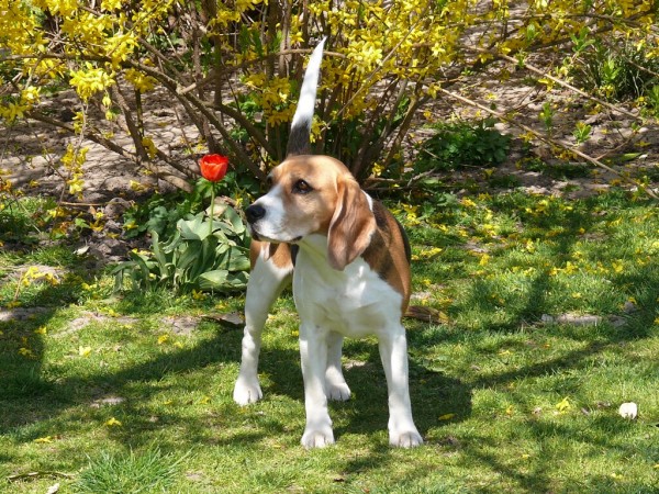 kliknutím zavřete okno