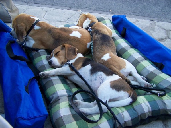 kliknutím zavřete okno