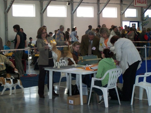 Gaudí poprvé na stole