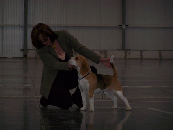 Gaudí a tréning před nástupem