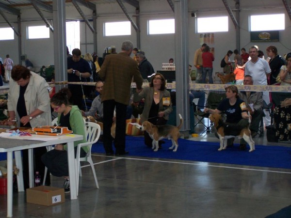 kliknutím zavřete okno