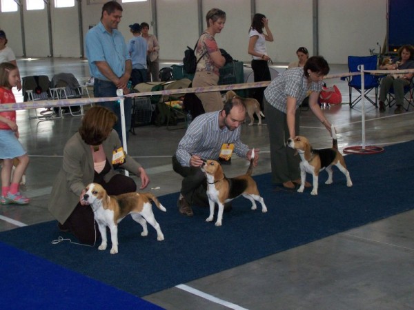 kliknutím zavřete okno