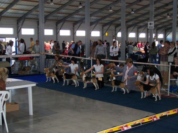 kliknutím zavřete okno