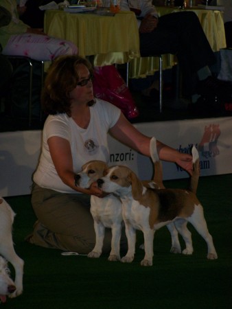 nejkrásnější a jediný pár výstavy